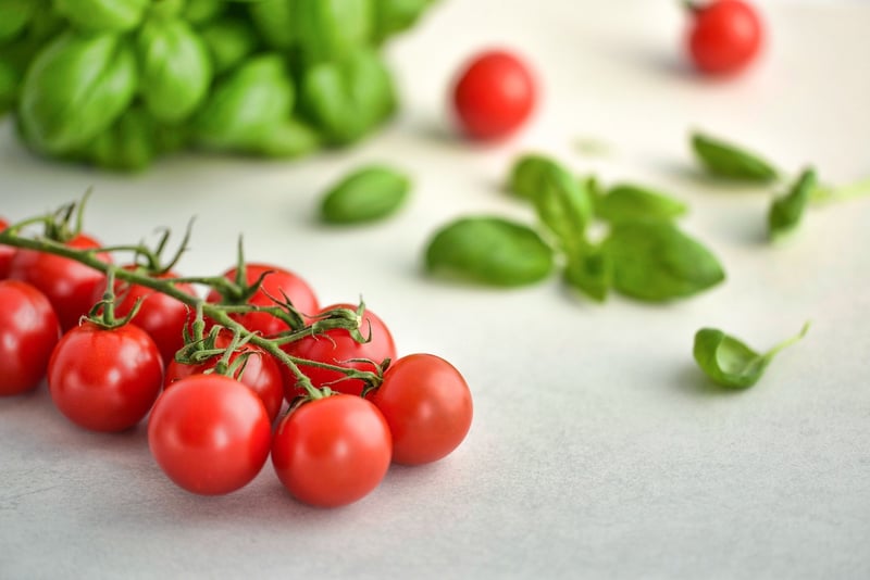 Fresh Ingredients